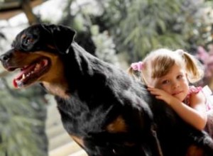 ¿Estas razas de perros son seguras cerca de los niños?