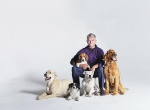 Entrevista al coproductor de Dog Whisperer Jim Milio