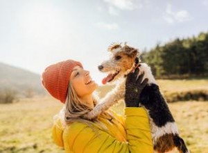 7 actividades divertidas para ti y tu perro