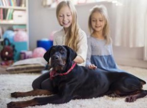 Perros protectores de familia