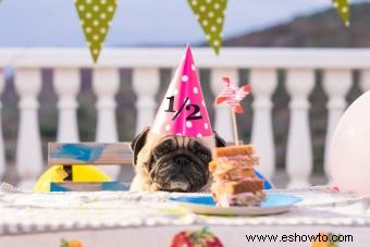 10 ideas de medio cumpleaños para una celebración sincera