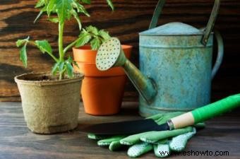 Cultiva verduras para ahorrar dinero