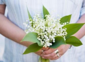 Flores de nacimiento de mayo:una mirada al lirio de los valles y al espino 