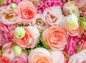 Flores de nacimiento en junio:hermosos significados de rosa y madreselva