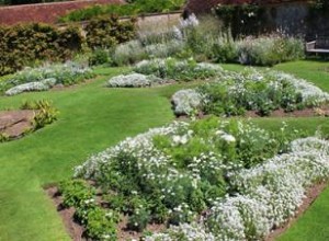 Jardines de la Luna