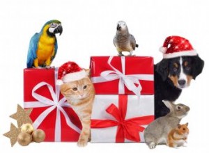 10 regalos agradables para los amantes de los animales