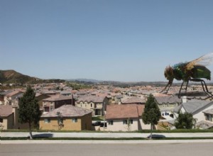 Diez formas de proteger su hogar contra insectos