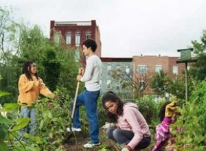 Cómo iniciar un jardín comunitario