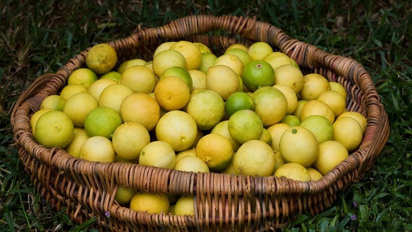 ¿Cuál es la diferencia entre las limas clave y las limas regulares? 