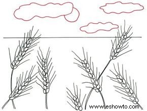 Cómo dibujar campos de trigo en 4 pasos 