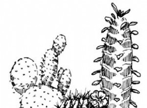 Cómo dibujar un cactus en 7 pasos 