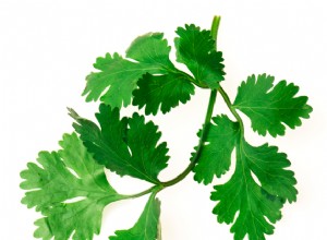 Sus fuertes sentimientos sobre el cilantro podrían ser genéticos, dice un experto 