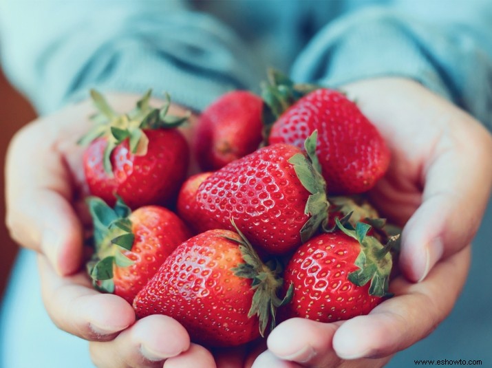 Puede comer su camino hacia una vida más larga con alimentos ricos en fisetina, según una nueva investigación 