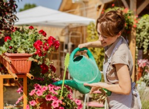 5 razones por las que agosto es el mejor mes para comenzar un jardín 