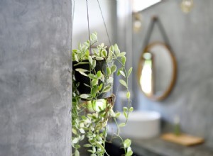 Las mejores plantas de interior para refrescar tu baño 