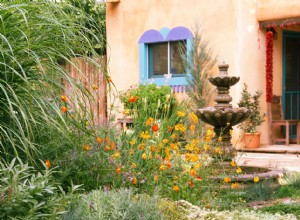 Este plan de jardín tolerante a la sequía no necesitará toneladas de agua para verse hermoso 