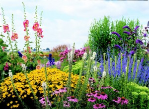 Los rayos más fuertes de Summers ayudarán a que este plan de jardín soleado y sin complicaciones brille 