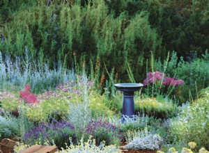 Plante este plan de jardín perenne resistente como clavos para un hermoso paisaje de bajo mantenimiento 