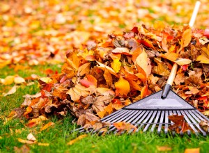 Siga esta lista de verificación de jardín de otoño para preparar su jardín para el invierno 