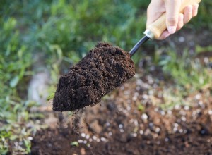 ¿Qué es un suelo bien drenado y cómo aumentar el drenaje para ayudar a que sus plantas prosperen? 