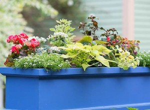 10 errores de jardinería en contenedores que incluso los buenos jardineros cometen 