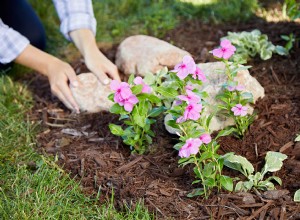 Cómo construir una nueva cama de flores para todas tus flores favoritas 