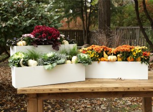 Nuestros mejores consejos para crear hermosas jardineras otoñales 