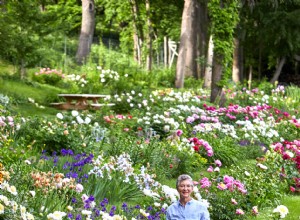 Más de 1000 peonías llenan este colorido jardín del Medio Oeste 