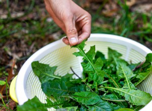 8 malas hierbas comunes en tu jardín que realmente puedes comer 