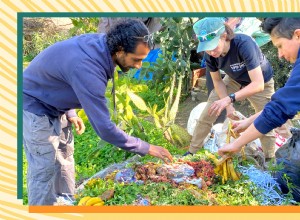 Terreno común:cómo los jardines nos brindan el espacio para encontrar consuelo, esperanza y curación 