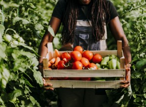 Convertirse en una fuerza para el bien:Cultivar sus propios alimentos cambia las comunidades para mejor y ahorra dinero 