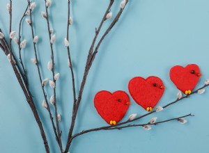 Galletas Cardenal Corazón 