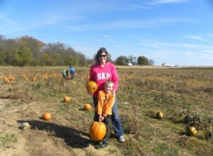 Laberintos de maíz y parcelas de calabazas 