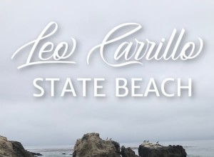 Cosas que debe saber:playa estatal Leo Carillo