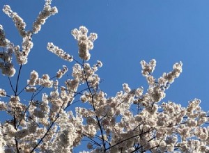 Lecciones de un viejo jardinero