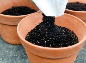 ¿Se puede usar tierra de jardín en macetas?