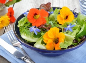 Todo lo que necesitas saber sobre flores y plantas comestibles