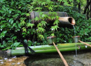 11 ideas para un jardín zen pequeño en el patio trasero