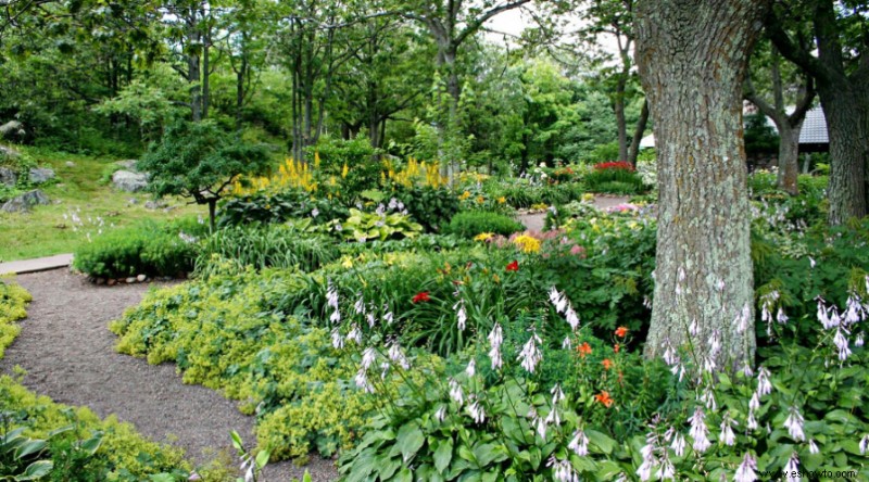 Por qué deberías estar matando plantas