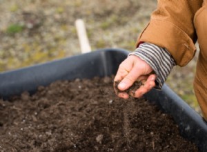 Cómo la peor sección de su jardín puede convertirse en el mejor jardín