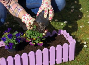 Cómo plantar una jardinera