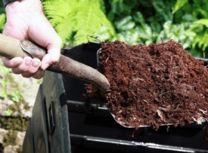 7 razones para usar tierra vegetal en su jardín