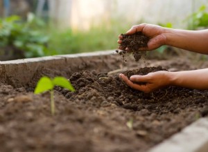 Cómo preparar el suelo para un jardín