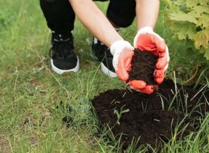 tierra vegetal vs tierra de jardín:¿cuál es la diferencia?