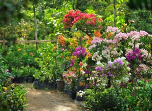 5 técnicas sencillas para mejorar el suelo del jardín