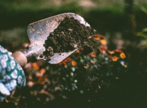 De césped a flores silvestres fáciles de cuidar en 5 pasos