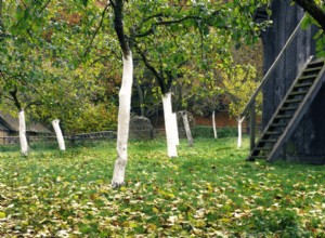 ¿Cuándo debe comenzar a preparar su jardín para el otoño?