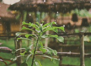 5 razones por las que el otoño es el momento perfecto para plantar en tu jardín