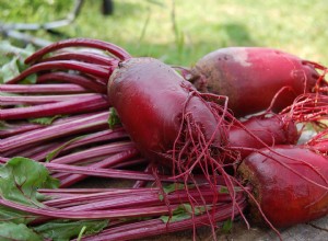 Las mejores plantas complementarias para el huerto de otoño