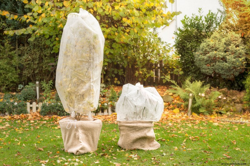 6 maneras de preparar su jardín para el invierno